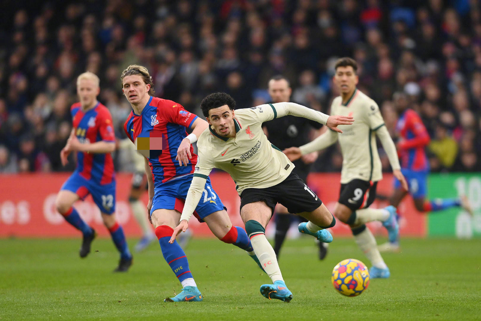 定點射手 定點射手