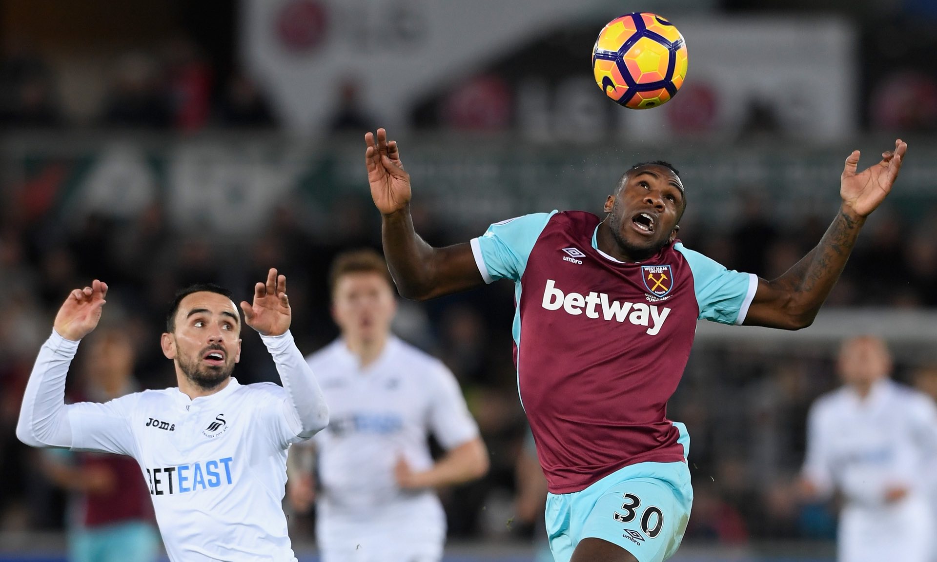 偏向更年轻 偏向更年轻